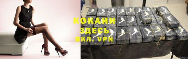 прущие грибы Ельня